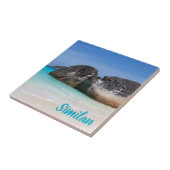 Vergelijkbaar strand Andaman Zee Phuket Thailand c Tegeltje (Zijkant)