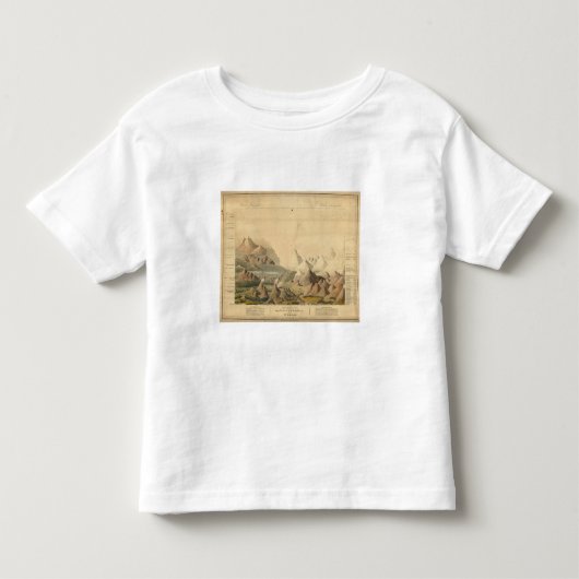 Vergelijkend Uitzicht Kinder Shirts (Voorkant)