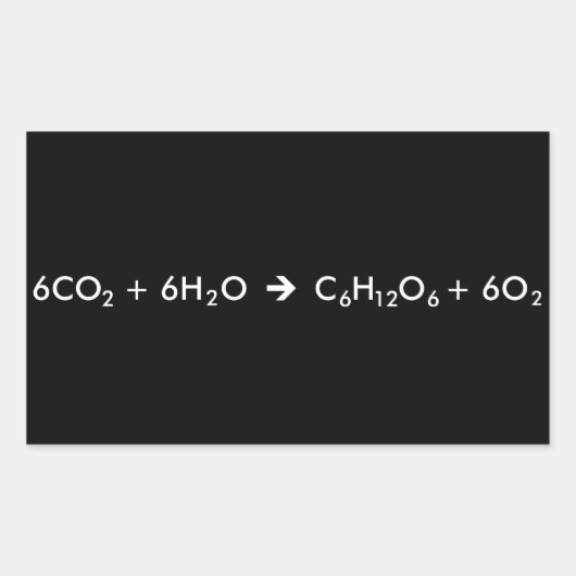 vergelijking fotosynthese rechthoekige sticker (Voorkant)