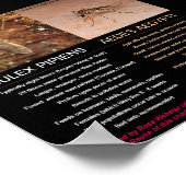 Vergelijking van zika-Carrying Mosquitoes door Ros Poster (Hoek)