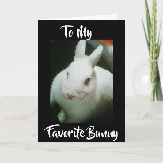 VERGEMAKKELIJKER *** OP MIJN "BUNNY" FEESTDAGEN KAART (Voorkant)