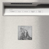 Vergeten dromen magneet (Insitu (Vaatwasser))