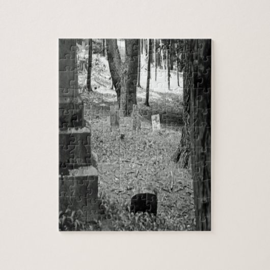 vergeten grave legpuzzel (Verticaal)