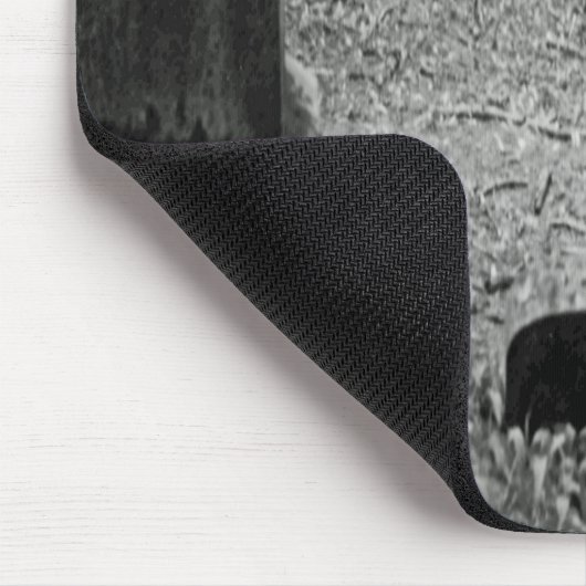 vergeten grave muismat (Hoek)