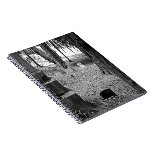 vergeten grave notitieboek (Rechterzijde)