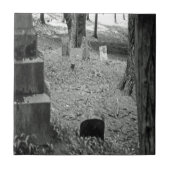 vergeten grave tegeltje (Voorkant)