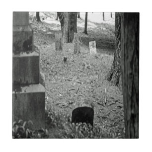 vergeten grave tegeltje