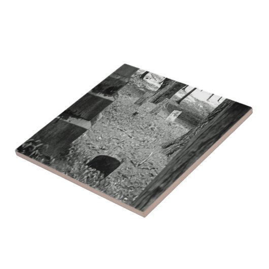 vergeten grave tegeltje (Zijkant)