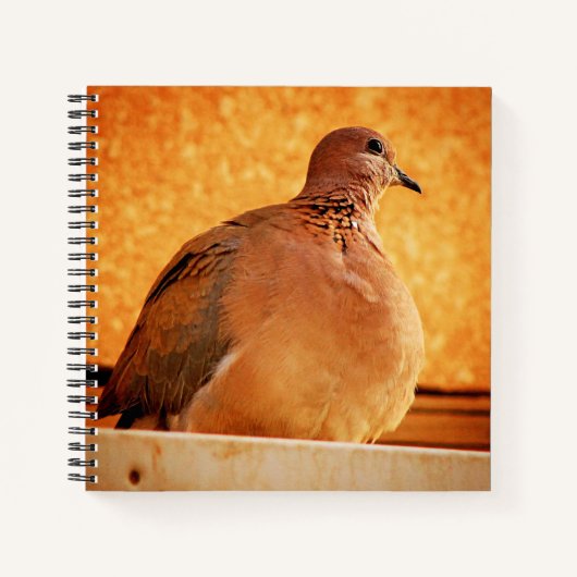 Vergeten herinneringen notitieboek (Voorkant)