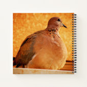 Vergeten herinneringen notitieboek (Achterkant)