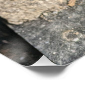 Vergeten interieur met varen en verweerde verf. perfect poster (Hoek)