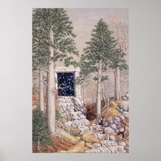 vergeten poort, door Darlene P. Coltrain Poster (Voorkant)