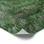 vergeten Wagon Poster (Hoek)