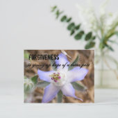 Vergeving is het opgeven van de hoop op een... briefkaart (Staand voorkant)