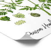 Vergif Hemlock  Botanische Illustratie Poster (Hoek)