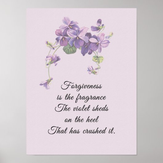 Vergiffenis is de Fragrance Violet Sheds Poster (Voorkant)
