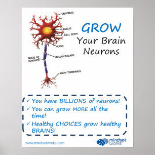 Vergroot uw hersenneuronen Brainology® Poster