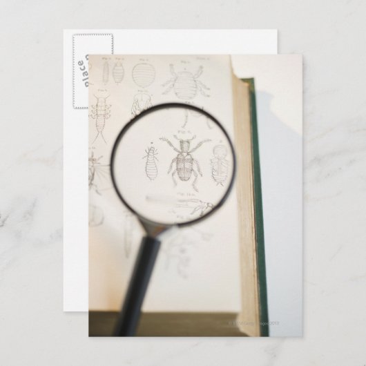 Vergrootglas boven boek dat insecten toont briefkaart (Voorkant / Achterkant)