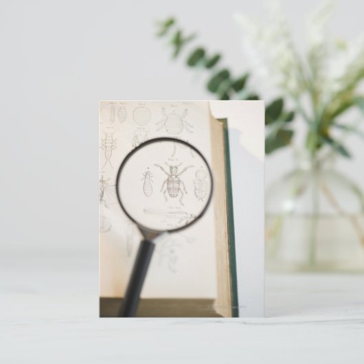 Vergrootglas boven boek dat insecten toont briefkaart (Staand voorkant)