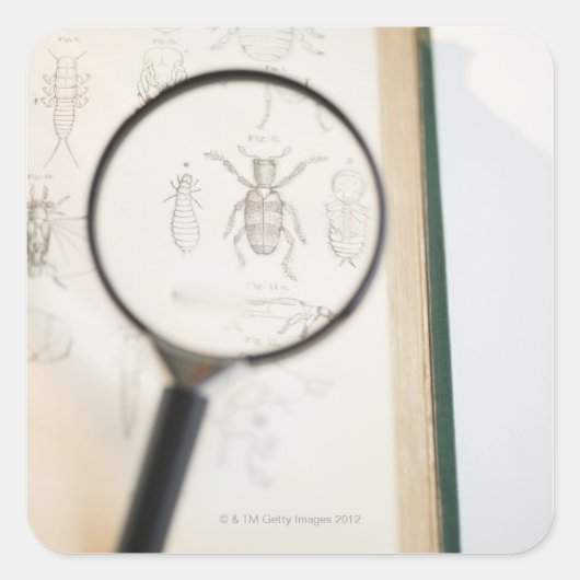 Vergrootglas boven boek dat insecten toont vierkante sticker (Voorkant)