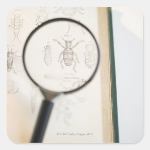 Vergrootglas boven boek waarop insecten te zien zi vierkante sticker