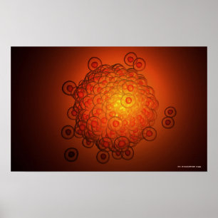 Vergrote blik op een eicel poster