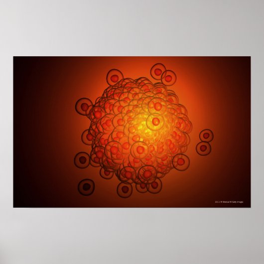 Vergrote blik op een eicel poster (Voorkant)