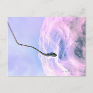 Vergrote blik op een sperma dat een ei bevrucht briefkaart