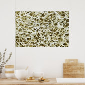 Vergrote poreuze textuur van het menselijke Hip Bo Poster (Keuken)