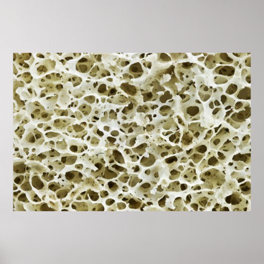 Vergrote poreuze textuur van het menselijke Hip Bo Poster (Voorkant)