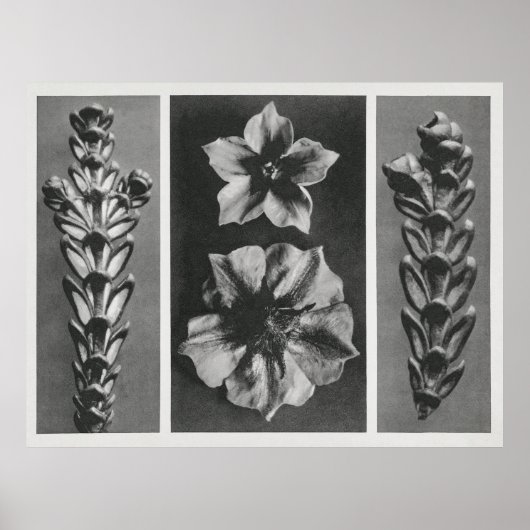 Vergroten bloemen poster (Voorkant)