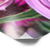 Vergroting van Bij en Echinacea Foto Afdruk (Hoek)