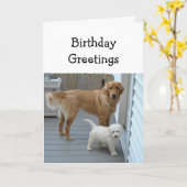 Vergroting van de dag door ons beiden Pet Dog Humo Kaart (Gele Bloem)