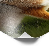 vergroting van digitale foto's bij konijnen foto afdruk (Hoek)