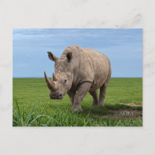 Vergroting van neushoorn staand op groene heuvelto briefkaart