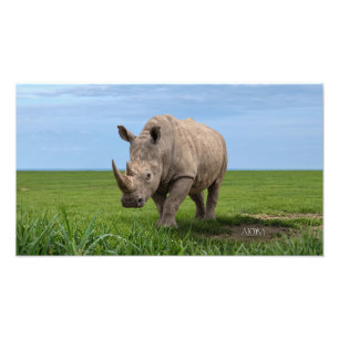 Vergroting van neushoorn staand op groene heuvelto foto afdruk