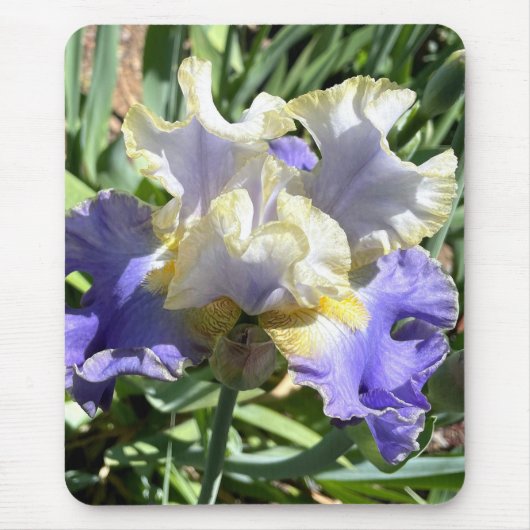 Vergulde iris Muismat (Voorkant)