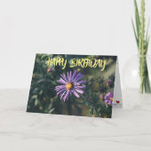 VERHAAL 'BIRTHDAY' OP DE HOOP VAN MIJN LEVEN KAART (Voorkant)