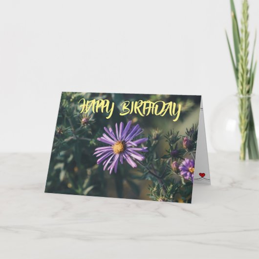 VERHAAL 'BIRTHDAY' OP DE HOOP VAN MIJN LEVEN KAART (Voorkant)