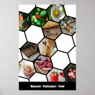 Verhaal Collage Aardbeien, Bestuivers & Opbrengst Poster