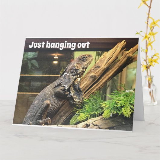 VERHAAL DE "60ste" MARIENDELIJKSE DAG OP MIJN "OUD Kaart (Gele Bloem)