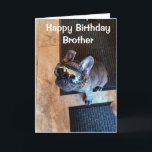 VERHAAL DE TWEEDE DAG VAN EEN KOOLDOG "BROTHER" KAART<br><div class="desc">LAAT ***EEN ZEER SPECIALE BROER *** WEET (ZOALS JE WAARSCHIJNLIJK ALTIJD DOET) HOEVEEL HIJ VOOR U BETEKENT OP "ZIJN GROTE DAG" DIT JAAR! EN DANK U ZO VEEL VOOR EEN VAN MIJN ACHT STORES!!!!</div>