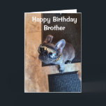 VERHAAL DE TWEEDE DAG VAN EEN KOOLDOG "BROTHER" KAART<br><div class="desc">LAAT ***EEN ZEER SPECIALE BROER *** WEET (ZOALS JE WAARSCHIJNLIJK ALTIJD DOET) HOEVEEL HIJ VOOR U BETEKENT OP "ZIJN GROTE DAG" DIT JAAR! EN DANK U ZO VEEL VOOR EEN VAN MIJN ACHT STORES!!!!</div>