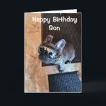 VERHAAL DE TWEEDE DAG VAN EEN KOOLDOG "SON" KAART<br><div class="desc">LAAT ***EEN ZEER SPECIALE SON*** WEET (ZOALS JE WAARSCHIJNLIJK ALTIJD DOET) HOEVEEL HIJ VOOR U BETEKENT OP "ZIJN GROTE DAG" DIT JAAR! EN DANK U ZO VEEL VOOR EEN VAN MIJN ACHT STORES!!!!</div>