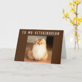 VERHAAL DE ZELDAG OP MIJN KAART **VETERINARIAN** (Gele Bloem)