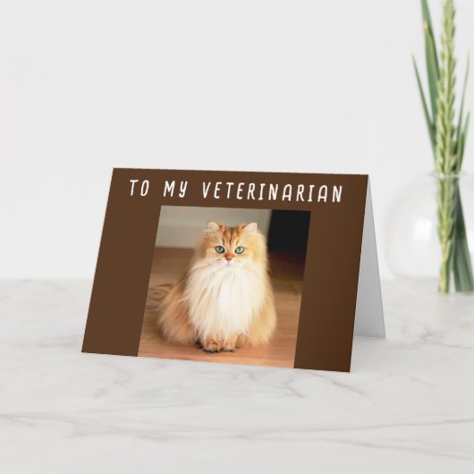 VERHAAL DE ZELDAG OP MIJN KAART **VETERINARIAN** (Voorkant)