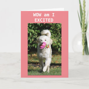 VERHAAL DE ZELDAG OP MIJN **NIECE* KAART