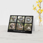 Verhaal van het Lege Nest Kaart (Gele Bloem)