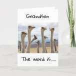 VERHAAL VERDAG VOOR U **GRANDSON** KAART<br><div class="desc">GELUKKIG BIEDDAY ***GRANDSON*** BEDANKT VOOR HET OPSLAAN MET EEN VAN MIJN ACHT OPSLAGEN!</div>