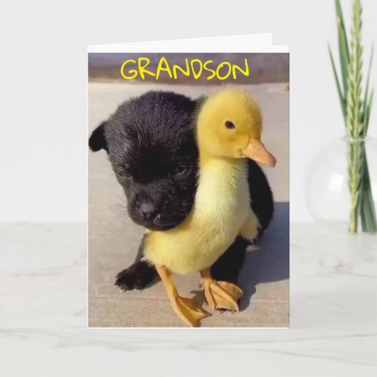 VERHAAL VERDAG VOOR U **GRANDSON** KAART (Voorkant)